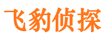 卫滨外遇出轨调查取证